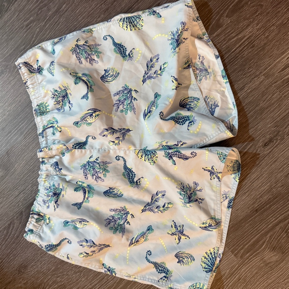 Patagonia Swim Trunks